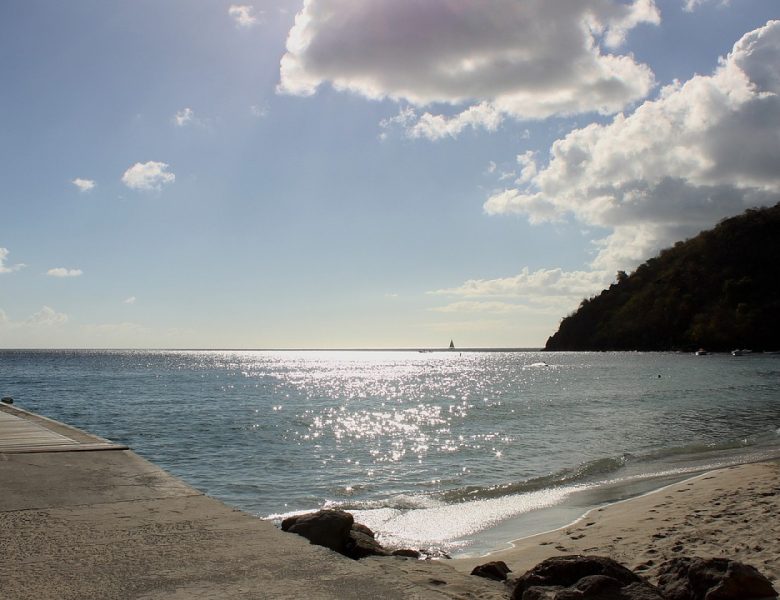 Vacances sur l’île de la Martinique : où se rendre pour louer un véhicule ?