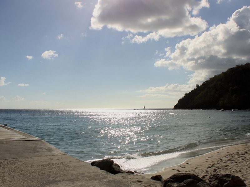 Vacances sur l’île de la Martinique : où se rendre pour louer un véhicule ?