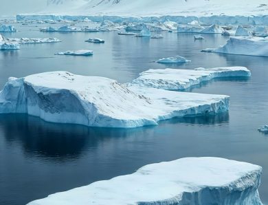 Comment organiser une croisière en antarctique étape par étape ?